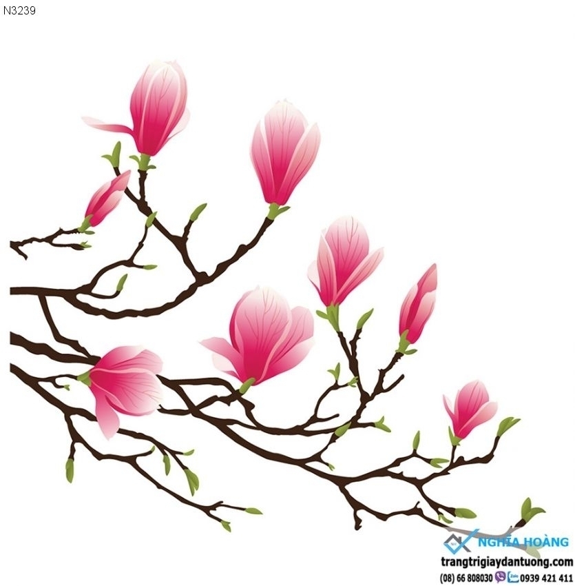 Khám phá với hơn 109 hình nền hoa lá tuyệt vời nhất  thdonghoadian