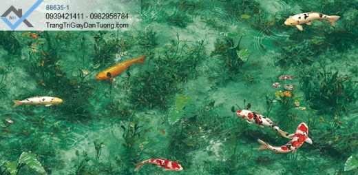 Giấy dán tường hồ cá